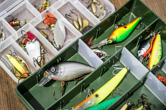 ¿Qué señuelo de pesca deportiva debo comprar? Guía completa para principiantes