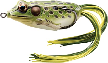 Frog La Grenouille LIVE TARGET