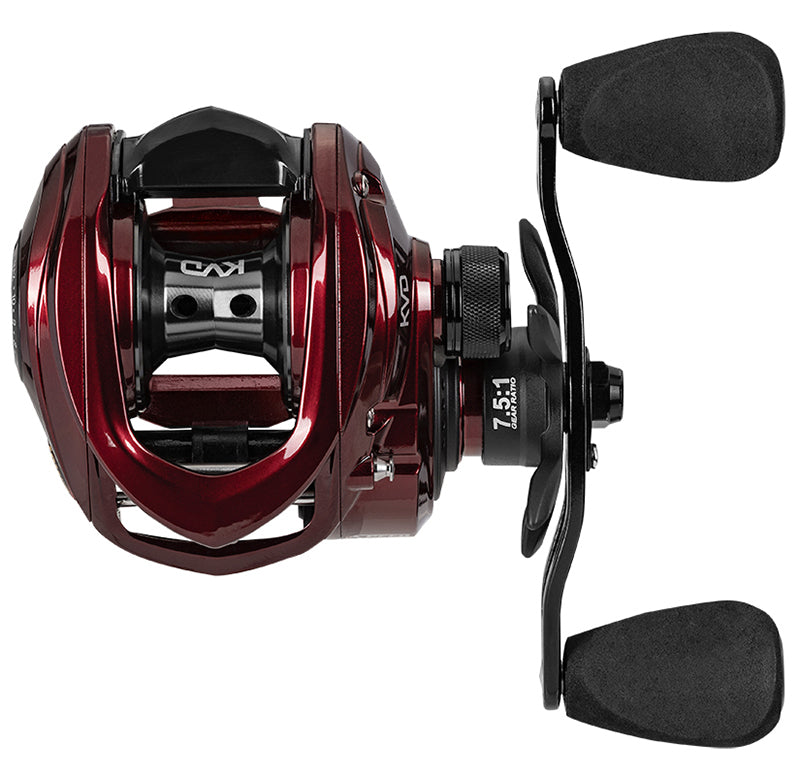 LEW'S KVD 1HL