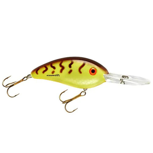 Bomber Lures BD5MDCS Fat Free Guppy Fishing Lure (Dance's Citrus Shad, 2  3/8), Fishing -  Canada